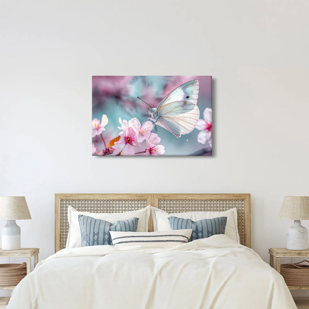 Obraz - Motýľ na čerešni (90x60 cm)