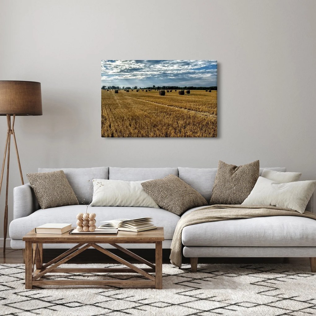 Obraz zozbieraného obilného poľa (90x60 cm)