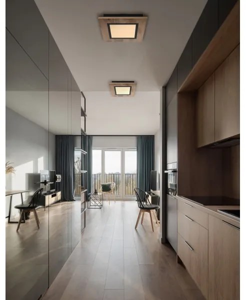 Globo 67292D2 - LED Stropné svietidlo LEA LED/12W/230V