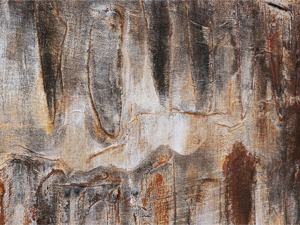Shadows obraz hnedý 90x120 cm