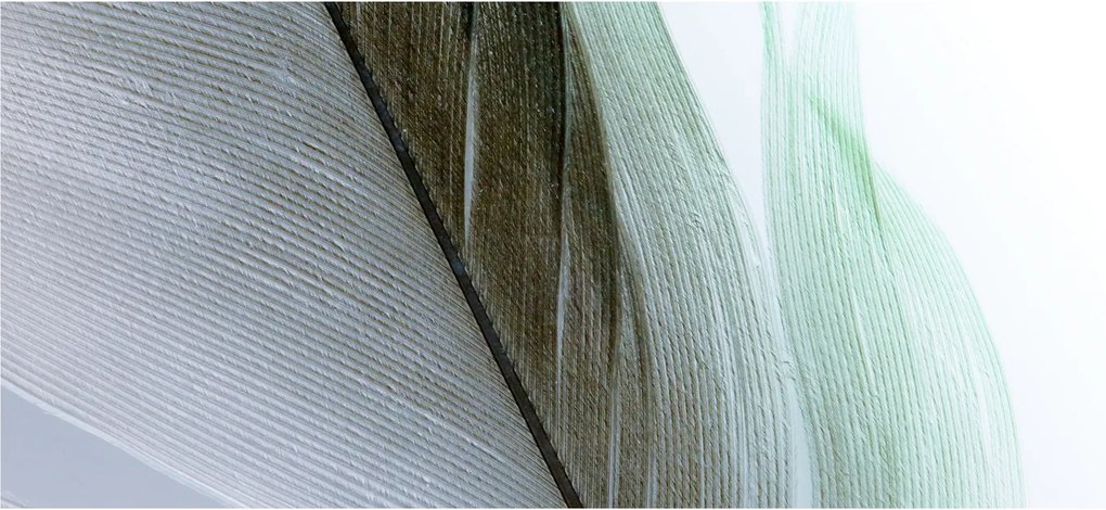 Obraz - Perie, makro (120x50 cm)