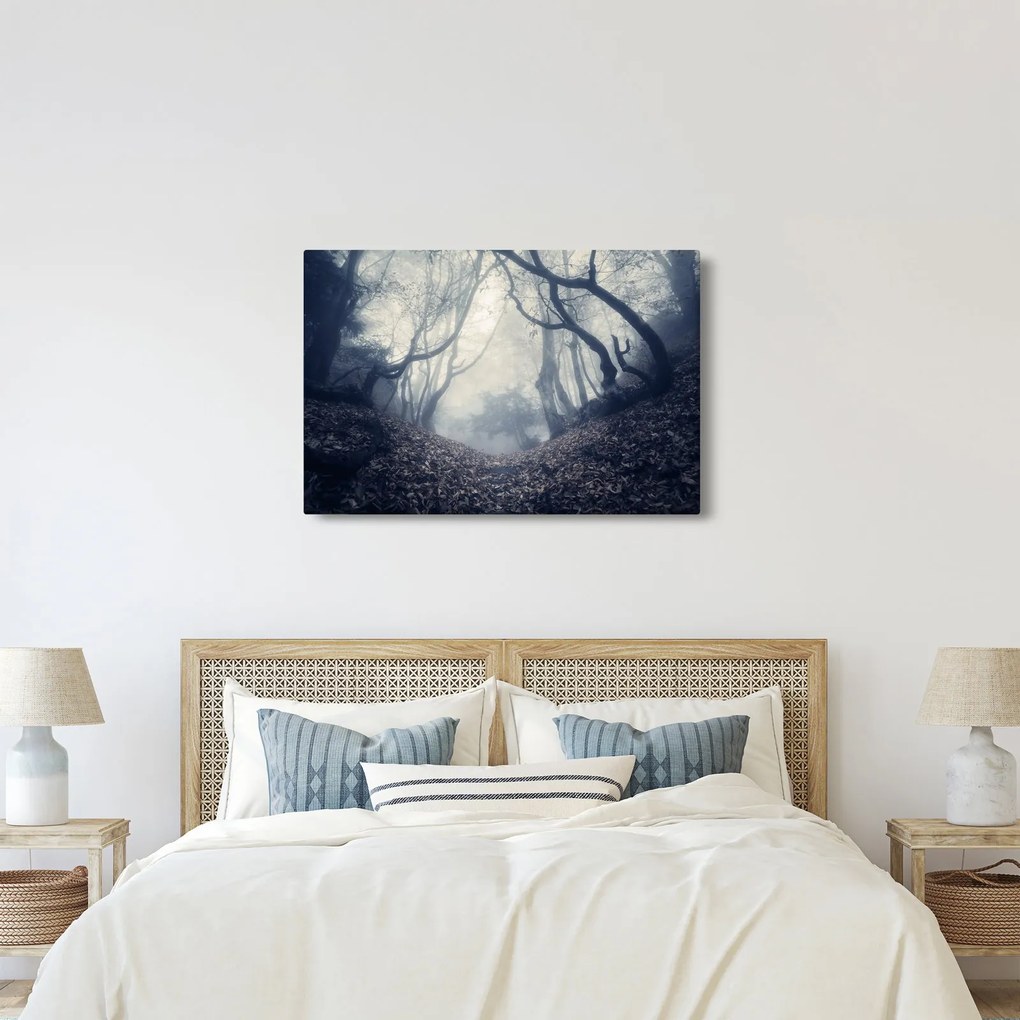 Obraz - Les v hmle (90x60 cm)