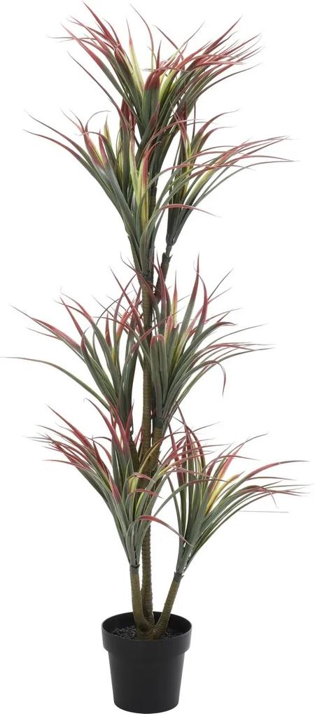 Koopman Umelá rastlina v kvetináči Yucca červená, 150 cm