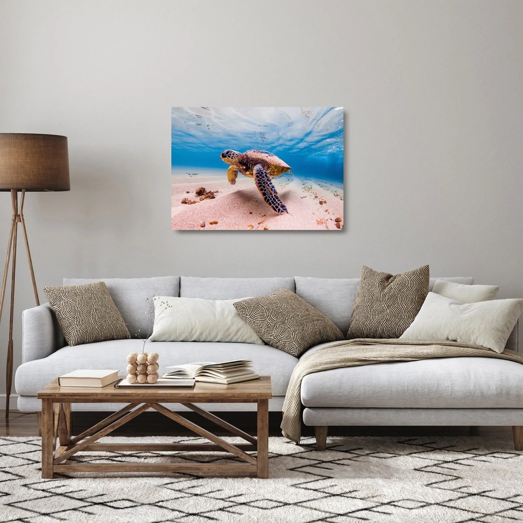 Sklenený obraz korytnačky v oceáne (70x50 cm)