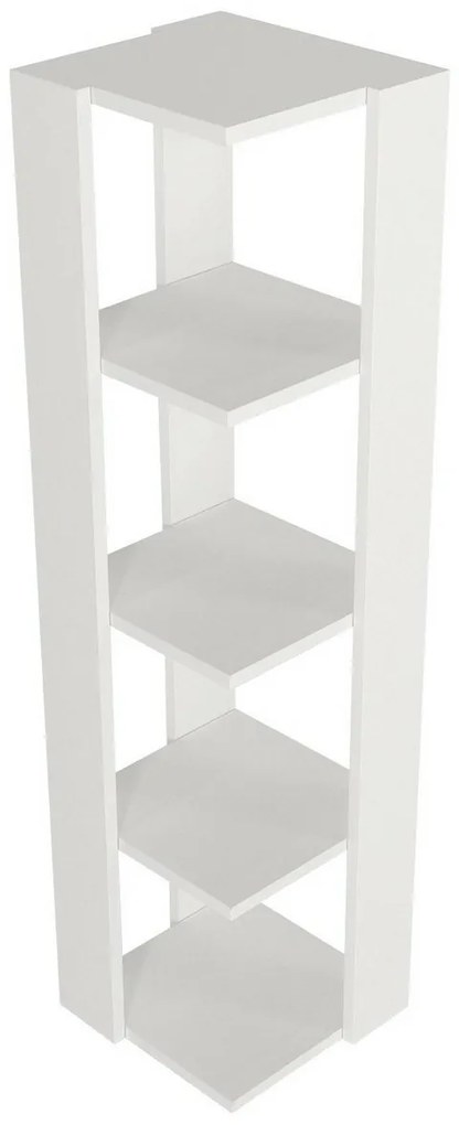 Knižnica Venita White