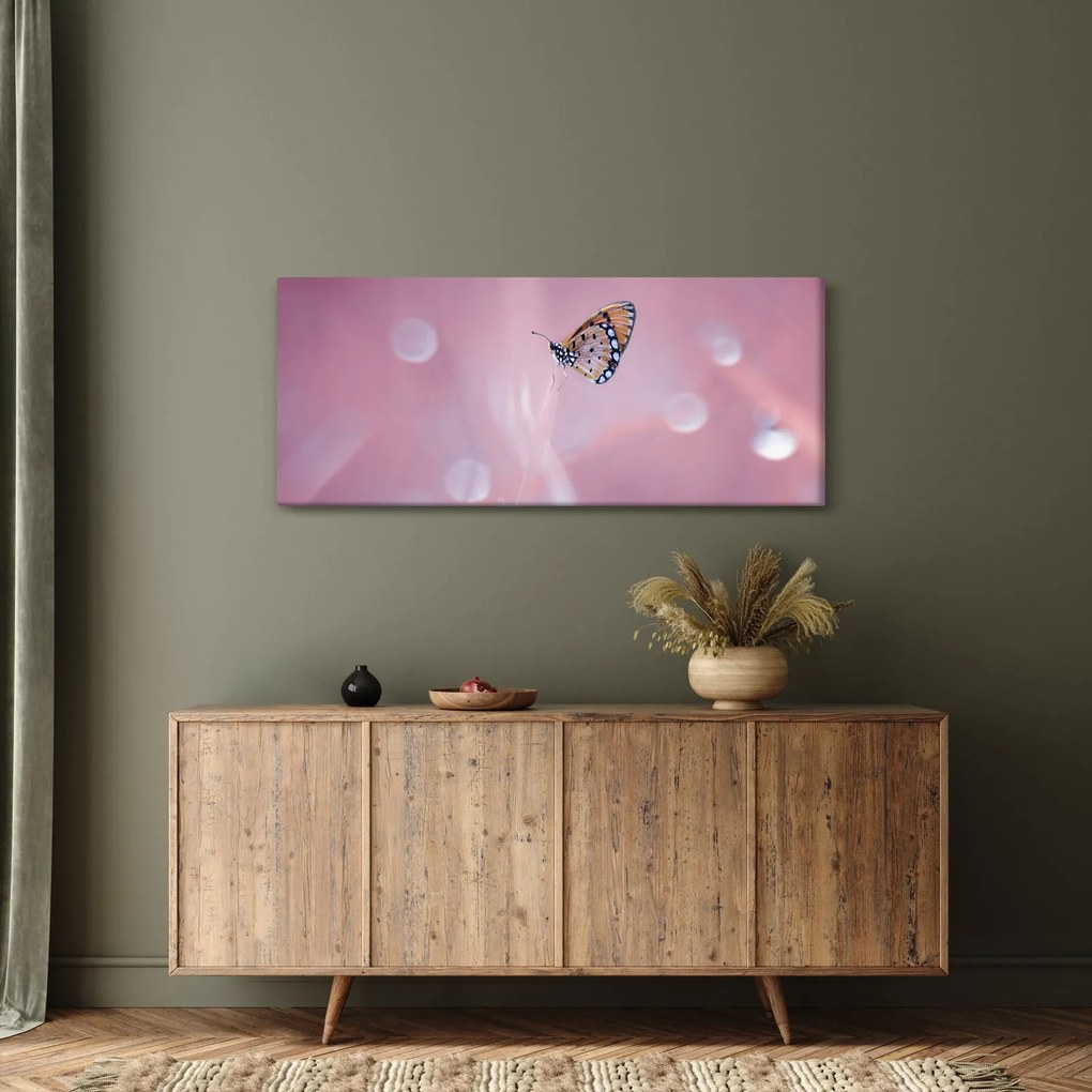 Obraz - Motýľ (120x50 cm)