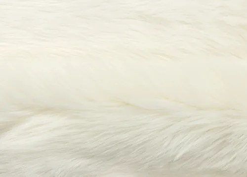 Koberce Breno Kusový koberec CLAIRE NEW krémový, biela,60 x 90 cm