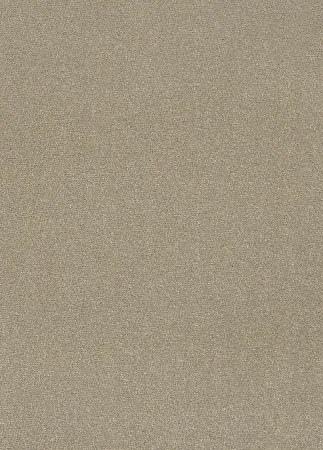 Koberce Breno Metrážny koberec REVOLUTION SUPREME 91, šíře role 400 cm, béžová