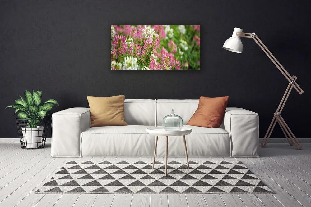Obraz Canvas Poľné kvety lúka príroda 140x70 cm