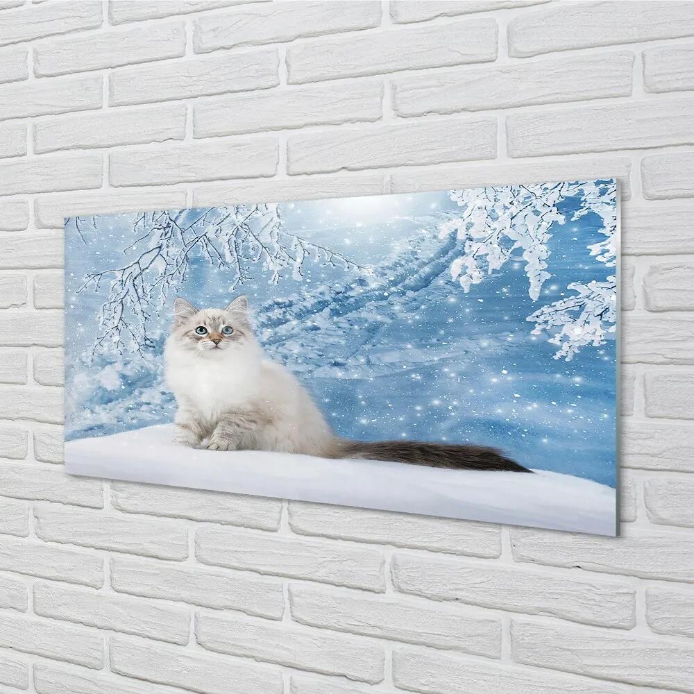 Sklenený obraz mačka zima 140x70 cm