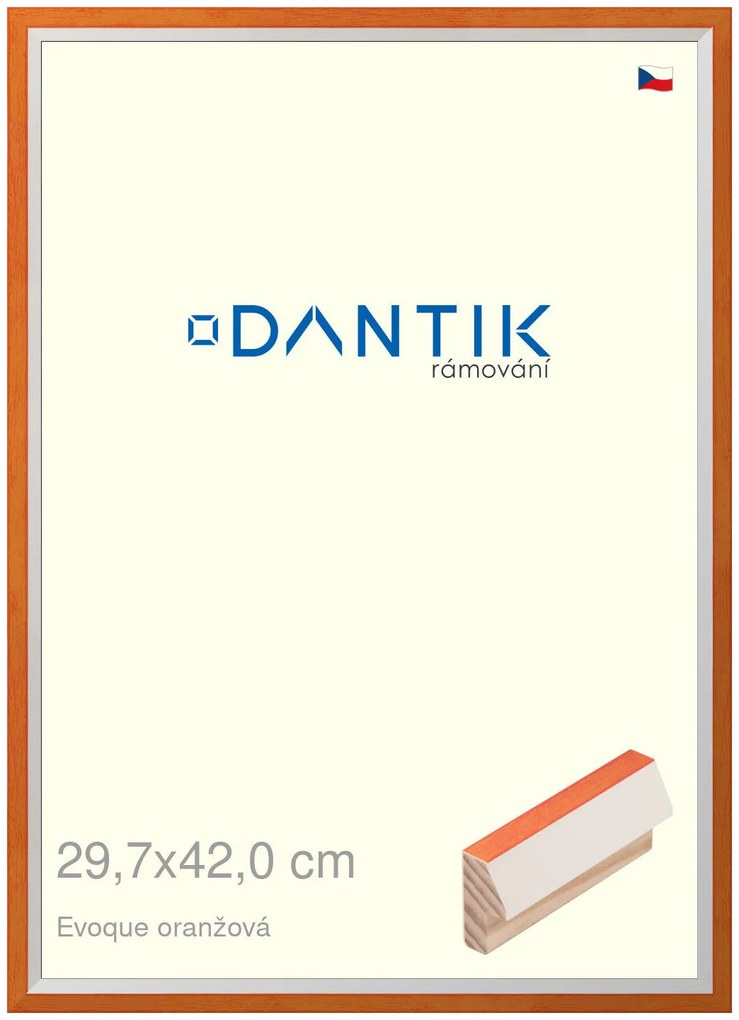 DANTIK rám na obraz 29,7x42 | EVOQUE oranžová (Plexi Čiré)