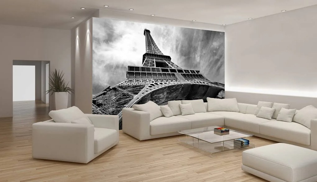 Fototapeta - Eiffelova veža Paríž (254x184 cm)