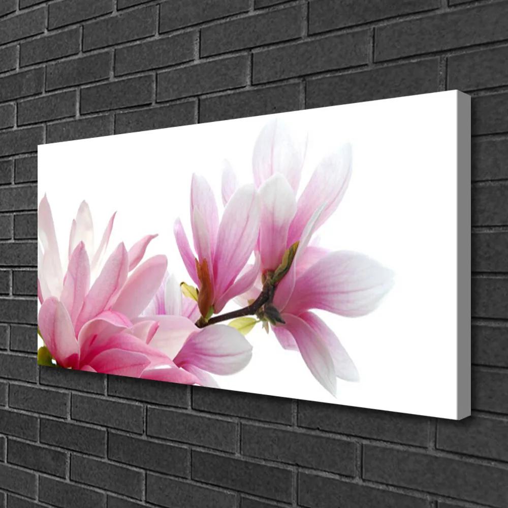 Obraz na plátne Magnolie kvet 120x60 cm