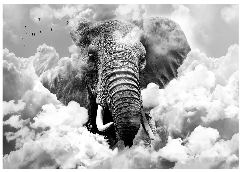 Artgeist Fototapeta - Elephant in the Clouds (Black and White) Veľkosť: 100x70, Verzia: Premium