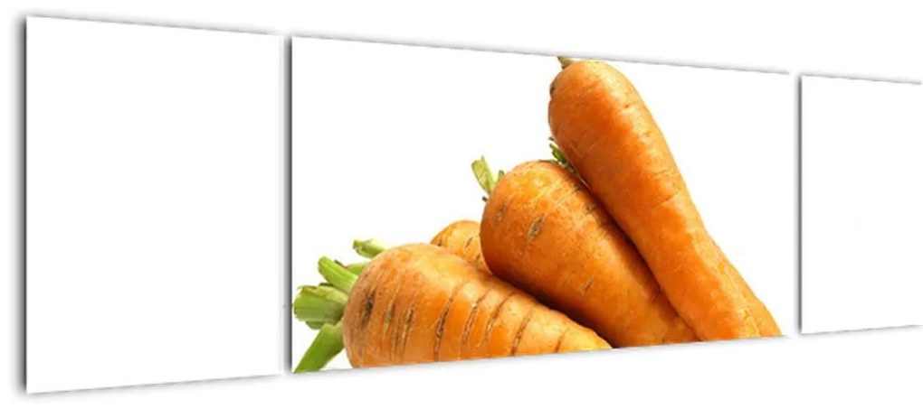 Obraz mrkvy