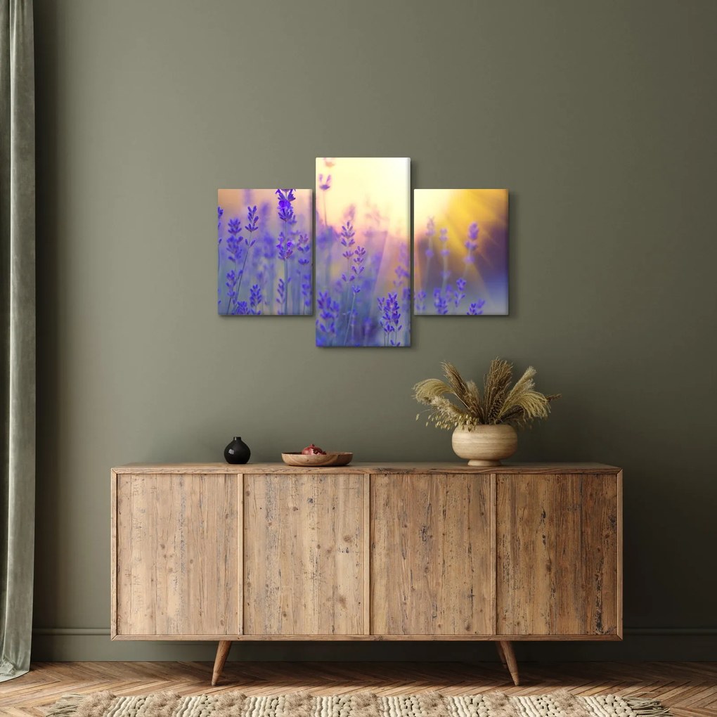 Obraz - Levanduľa (90x60 cm)