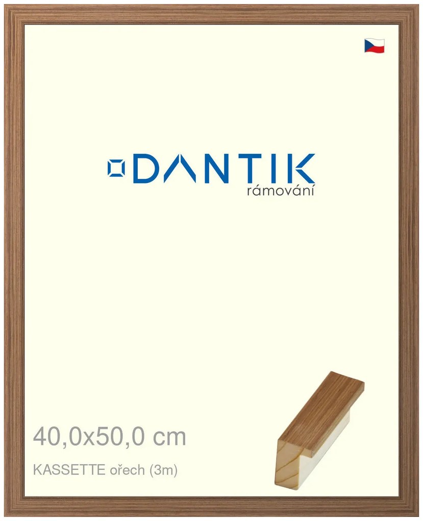 DANTIK rám na obraz 40x50 | KASSETTE ořech (Sklo Čiré)