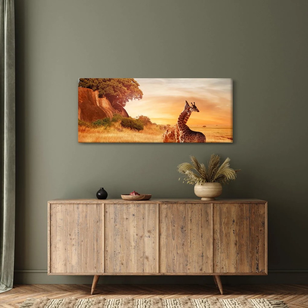 Obraz - Žirafy v Afrike (120x50 cm)