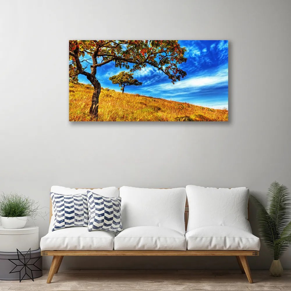 Obraz Canvas Lúka strom príroda 100x50 cm