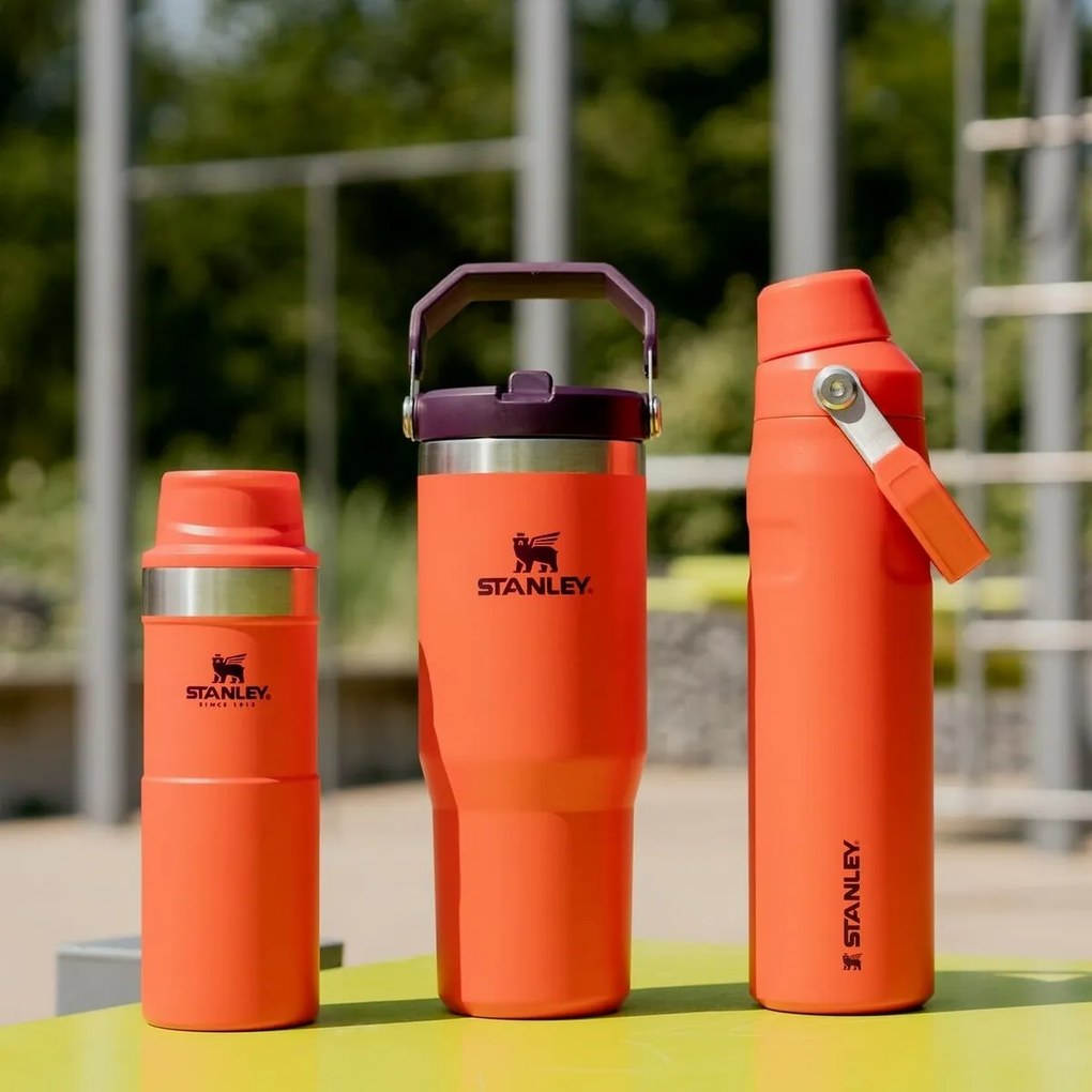 Stanley Aerolight IceFlow fľaša na vodu Fast Flow 600 ml Tigerlily