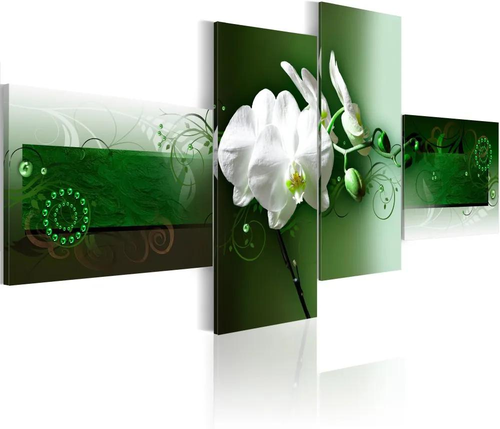 Obraz na plátne Bimago - Orchidea na zeleném pozadí 100x45 cm