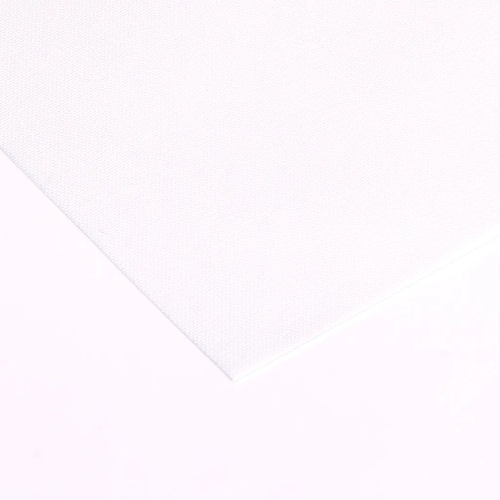 FOA Látková roleta, BASIC, Biela, LT 101 , 100 x 240 cm