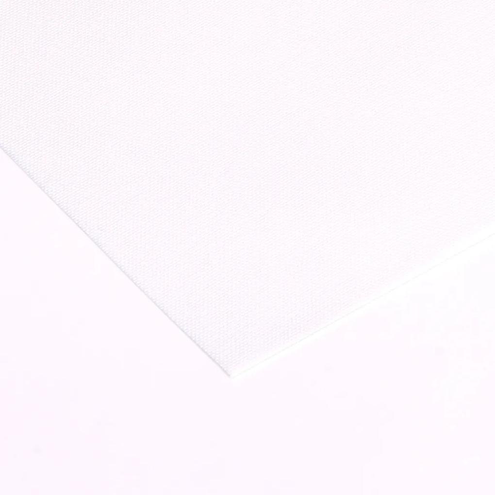 FOA Látková roleta, BASIC, Biela, LT 101 , 133 x 150 cm