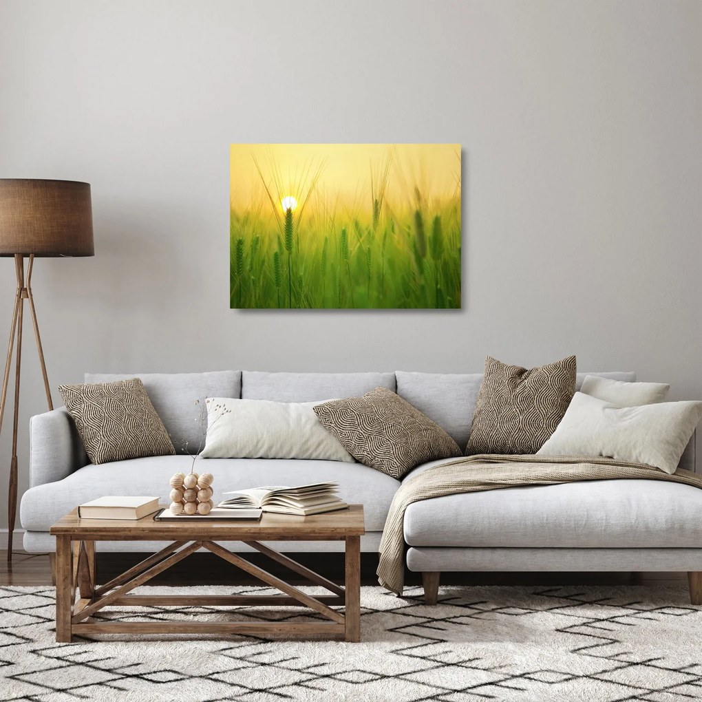 Sklenený obraz - Pole s obilím (70x50 cm)