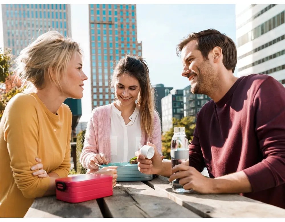 Desiatový box Vivid mauve – Mepal