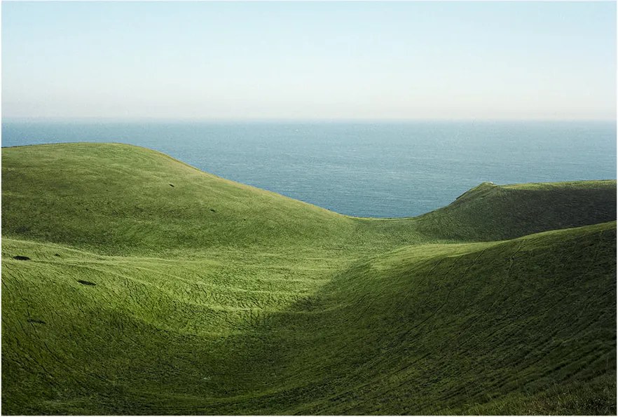 Moikka Plagát Dorset by Lee Burnett 50x70 cm