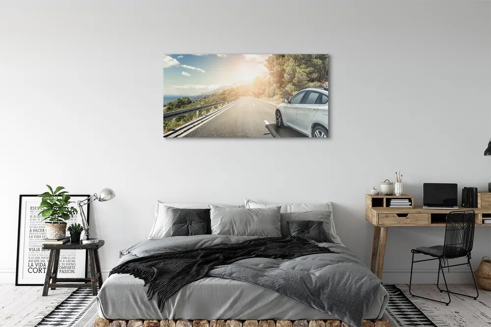 Obraz plexi Hory mraky auto cesty strom 125x50 cm