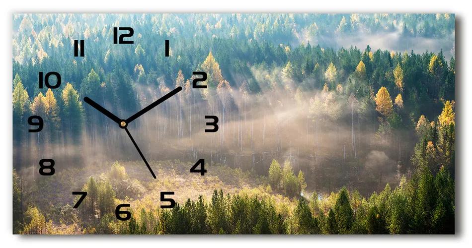 Vodorovné Sklenené hodiny na stenu tiché Hmla v lese pl_zsp_60x30_f_104886541