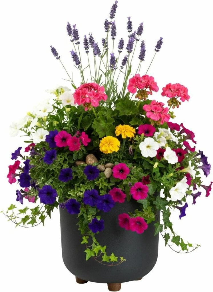 Plastový květináč na nožičkách Terra - výber z 6 prevedení