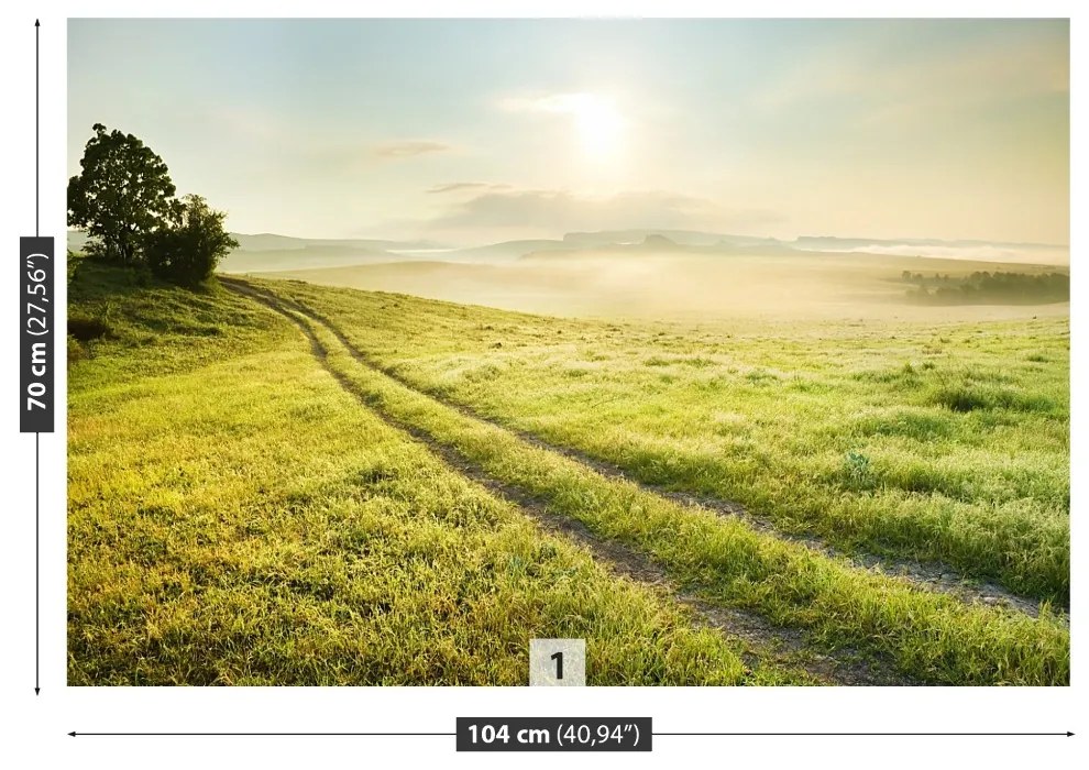 Fototapeta Vliesová Lúka a východ slnka 104x70 cm