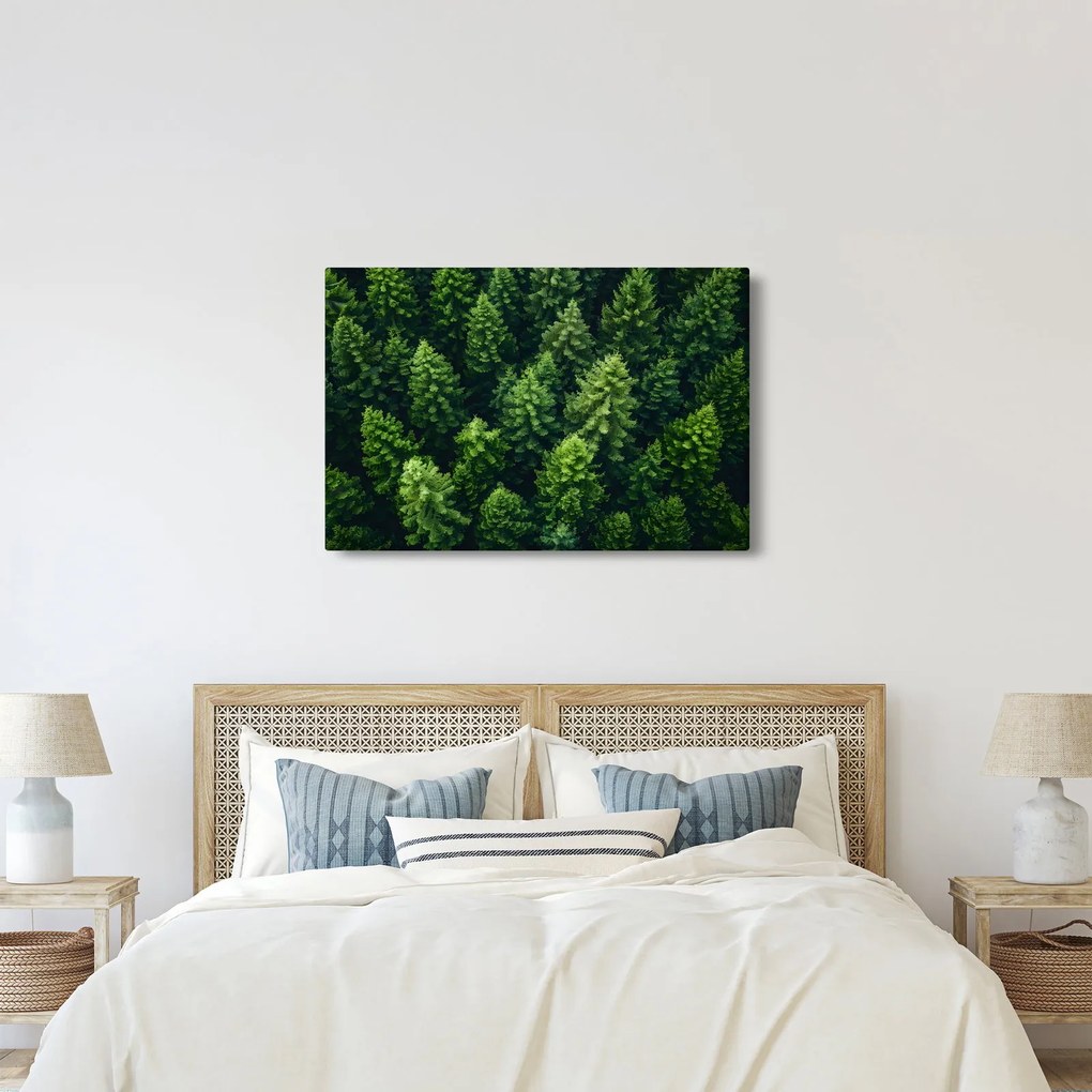 Obraz - Les (90x60 cm)