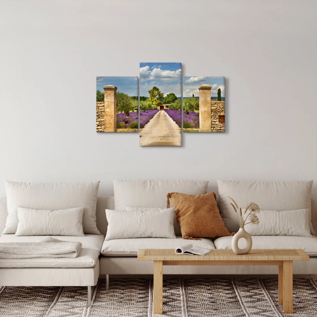 Obraz - Levanduľové cesty (90x60 cm)