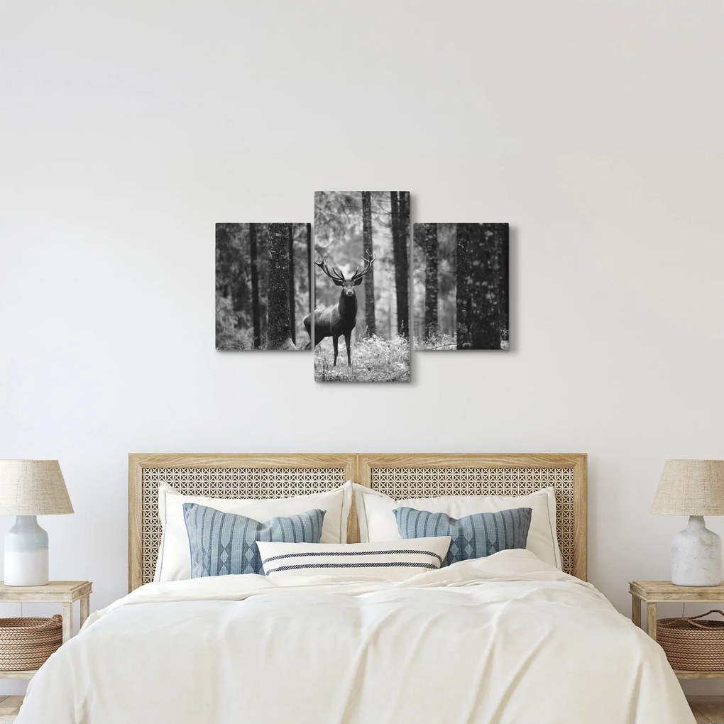 Obraz - Jeleň v lese 2, čiernobiela (90x60 cm)