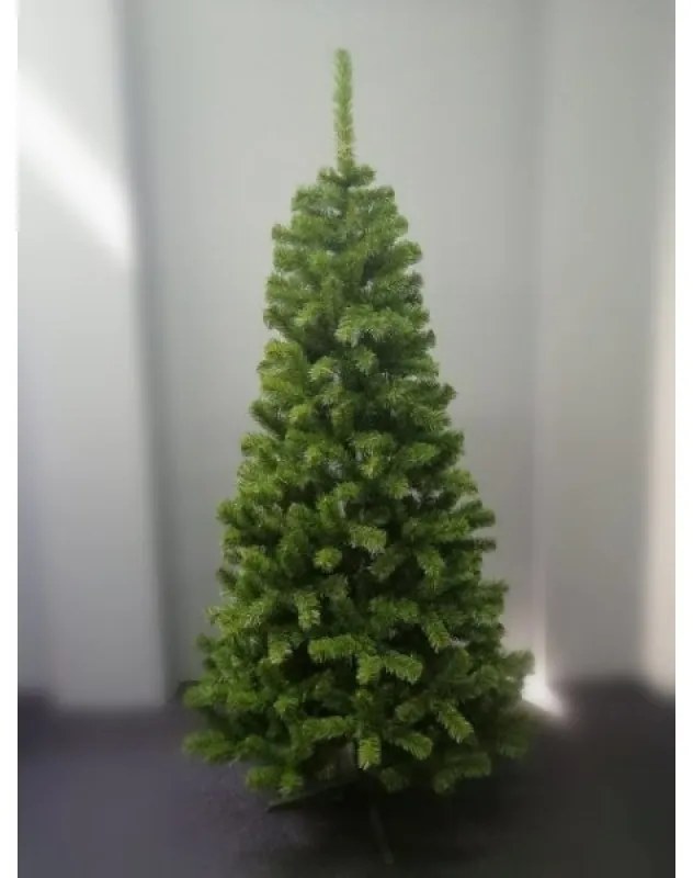 Limpol Jedľa Eliza 2,40 m