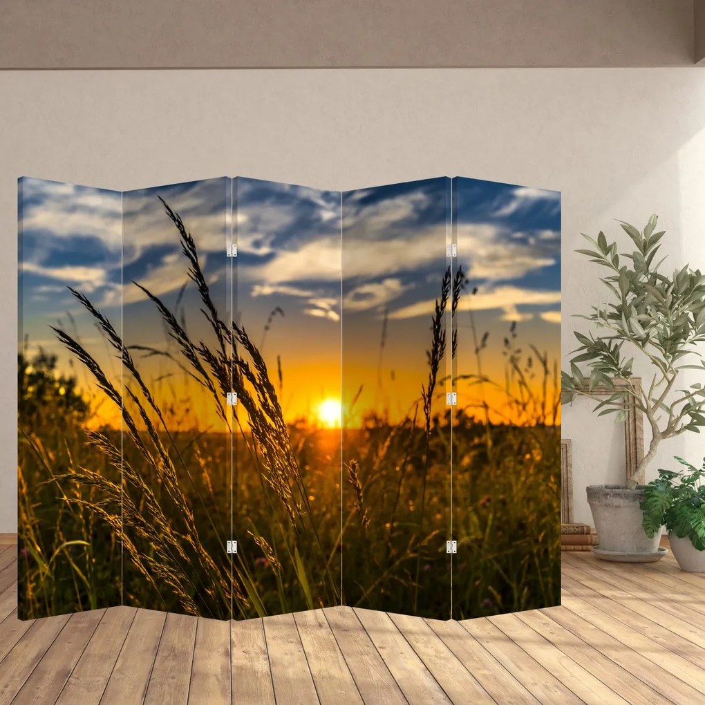 Paraván - Pole pri západe slnka (210x170 cm)