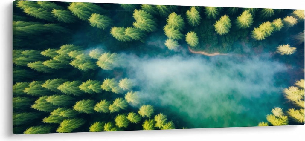 Obraz - Hmlou zahalený les (120x50 cm)