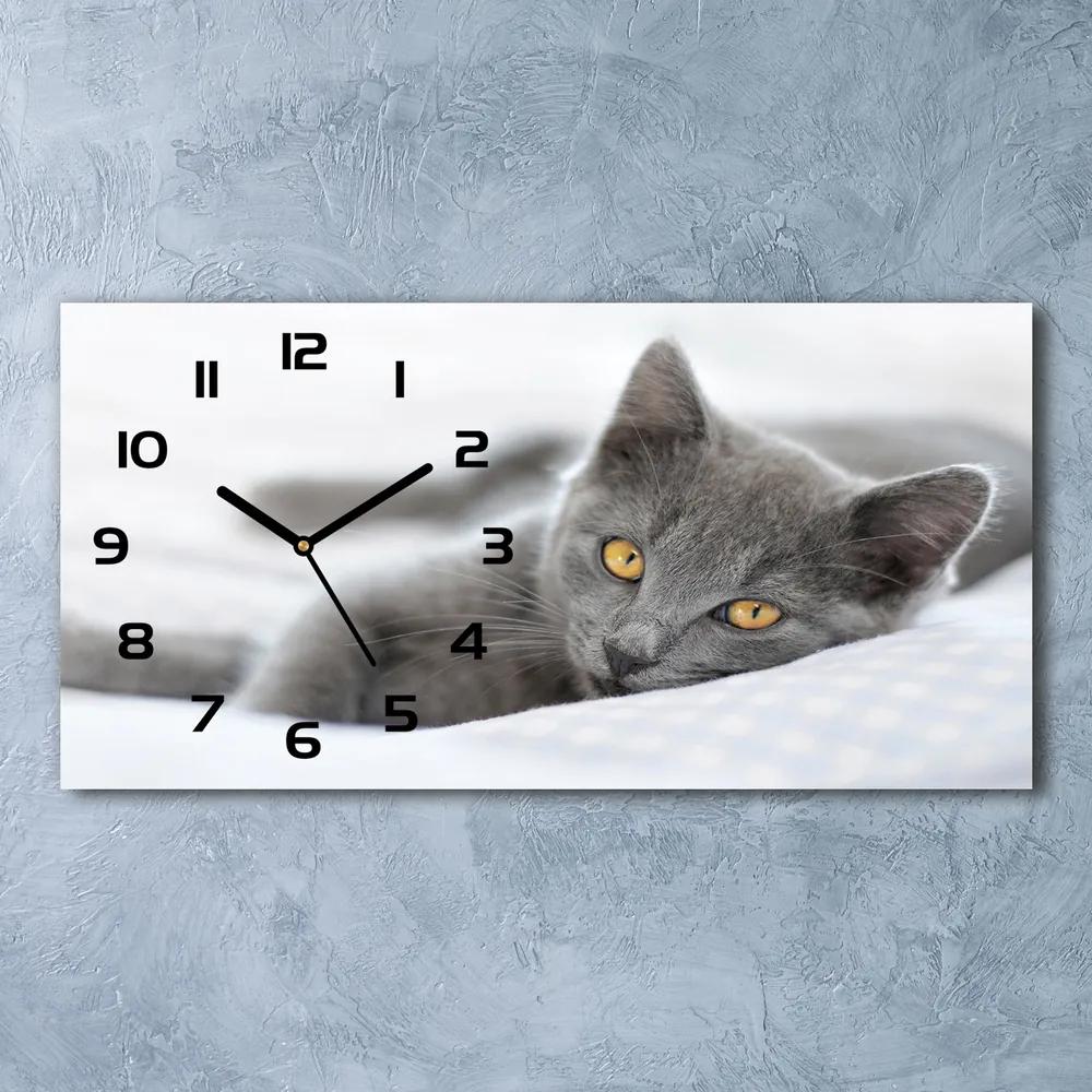 Moderné sklenené hodiny na stenu Sivá mačka pl_zsp_60x30_f_43951156