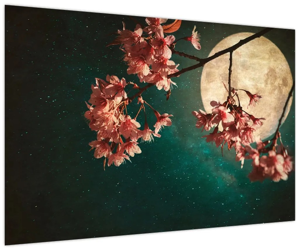 Obraz - Sakura v splne (90x60 cm)