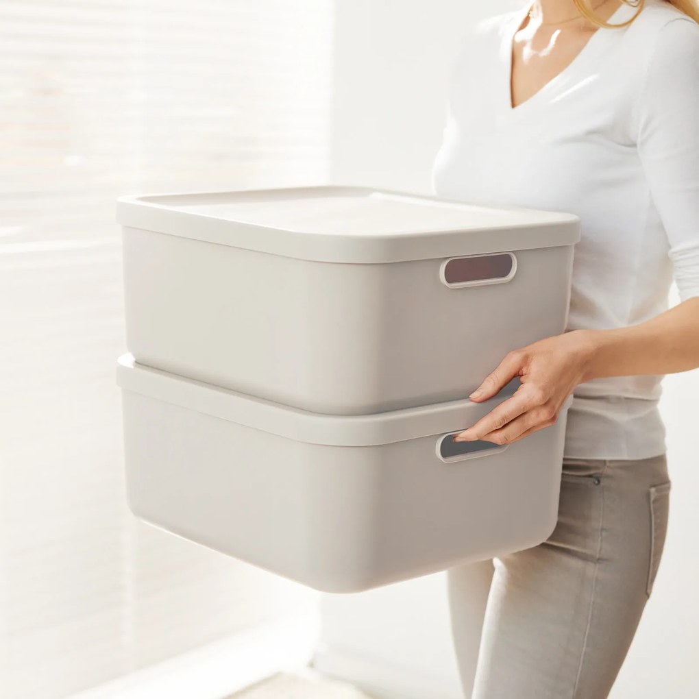 Rotho Úložný box, rovný s vekom, 20 l, matná biela ALBU LIGHT, 40 x 36 x 18