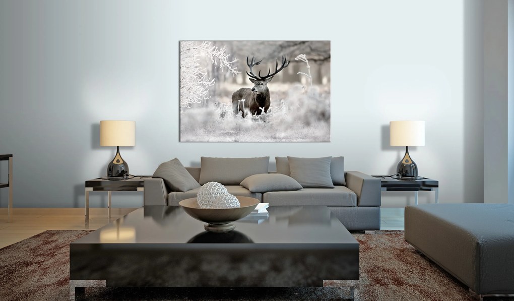 Artgeist Obraz - Lonely Deer Veľkosť: 120x80, Verzia: Na talianskom plátne