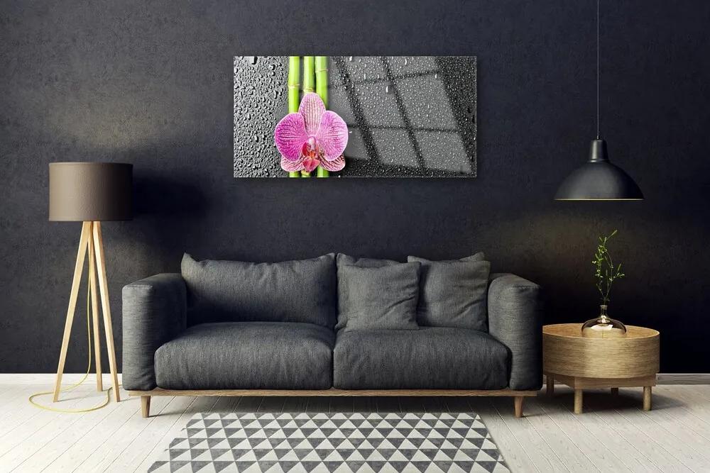 Skleneny obraz Bambus kvet rastlina príroda 125x50 cm
