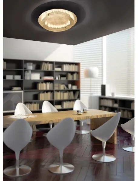 Paul Neuhaus 9621-12 - LED Stropné svietidlo NEVIS LED/24W/230V