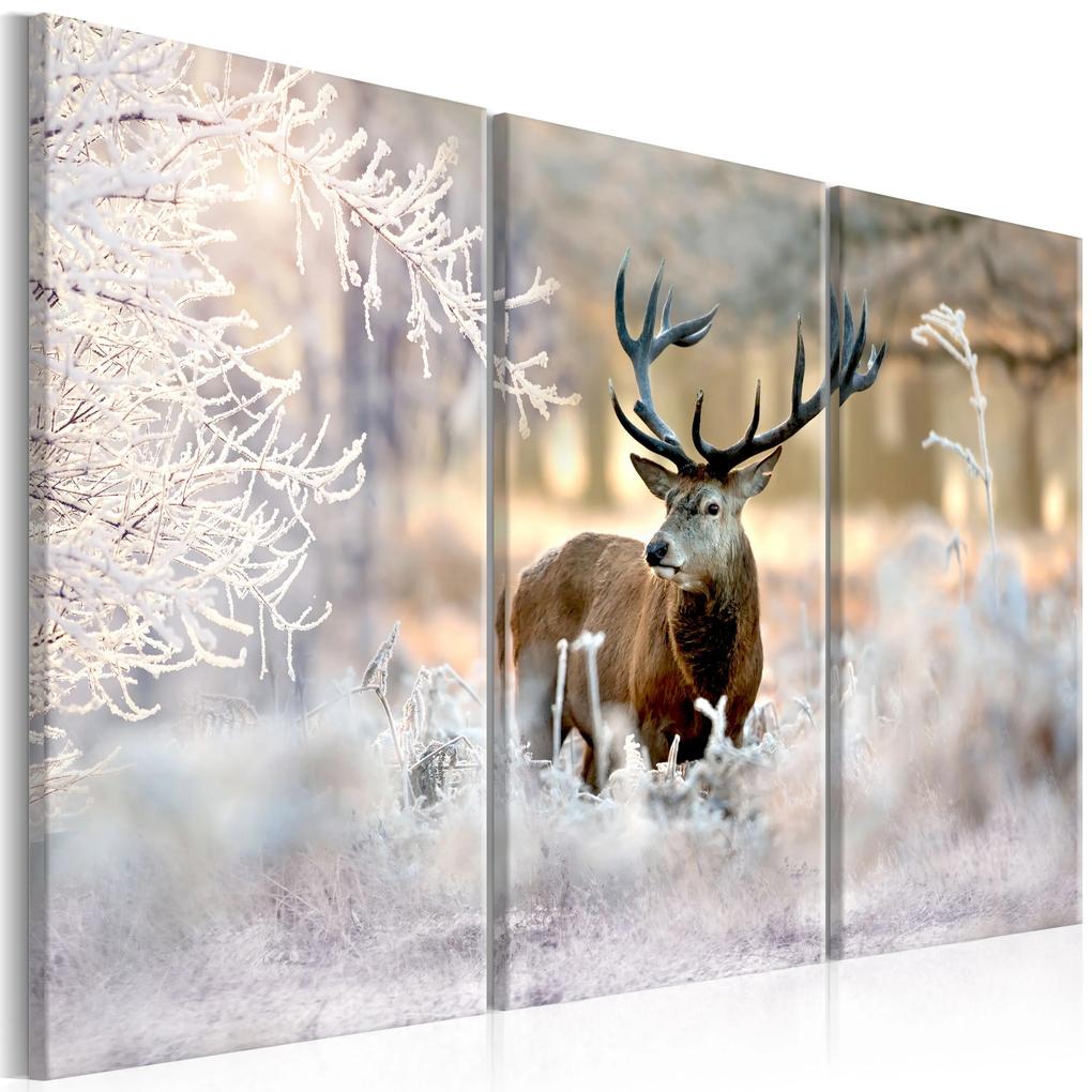 Artgeist Obraz - Deer in the Cold I Veľkosť: 120x80, Verzia: Na talianskom plátne