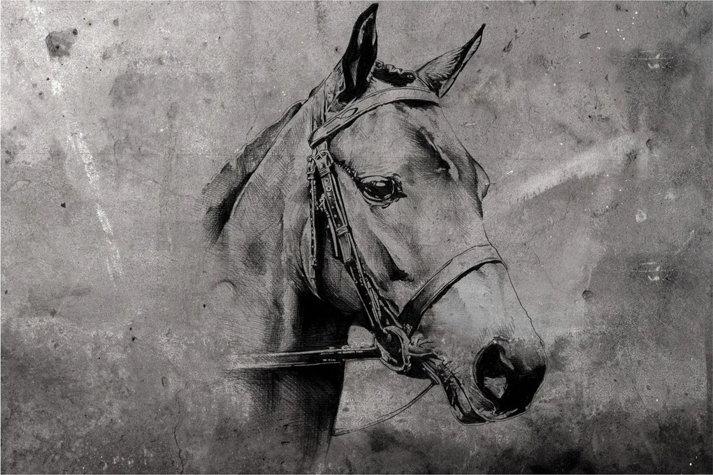 Obraz - Portrét koňa (90x60 cm)