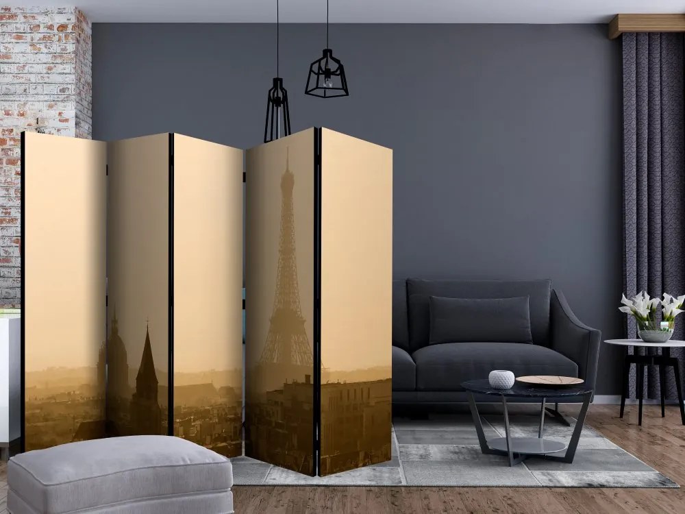Artgeist Paraván - Paris at Dawn II [Room Dividers]