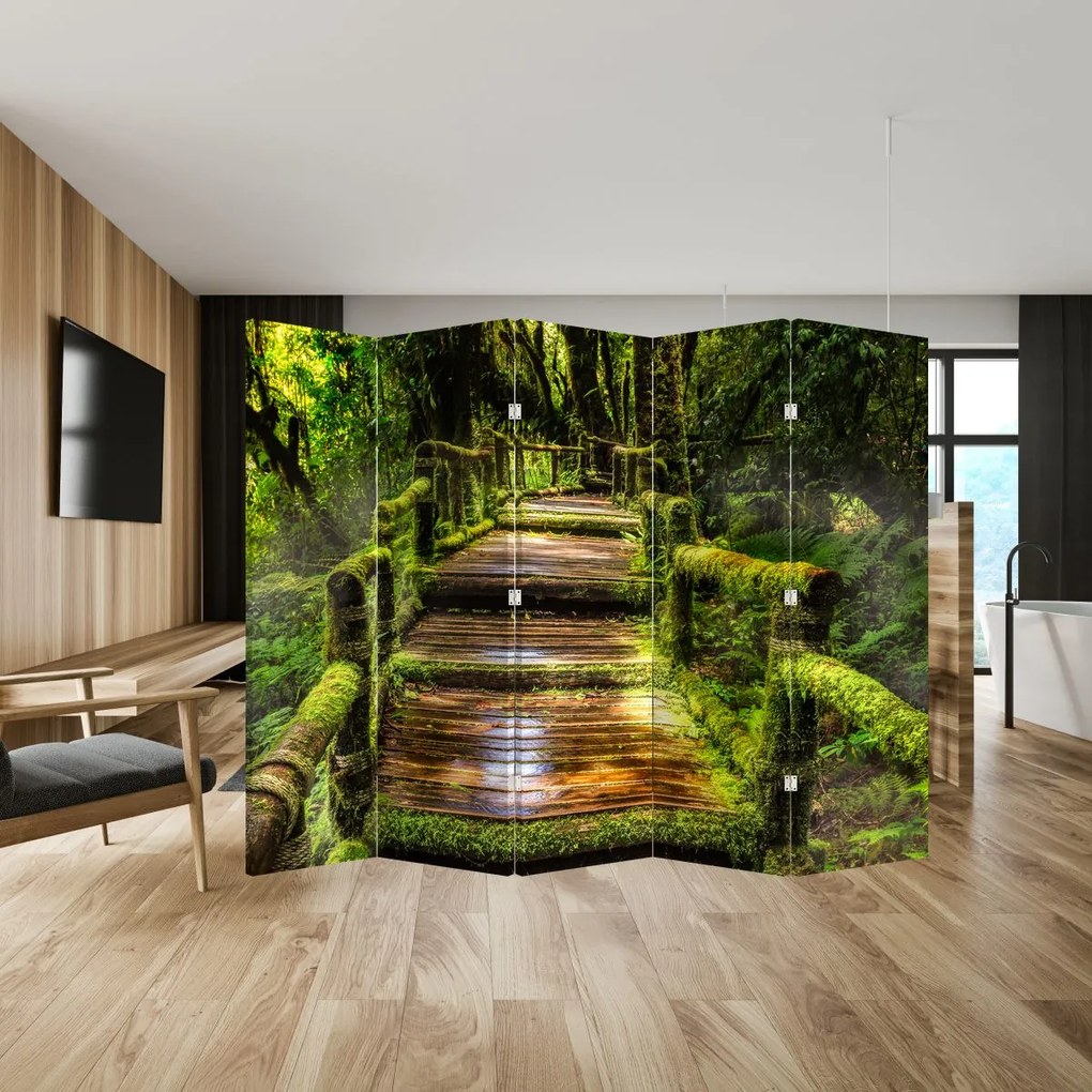 Paraván - Schody v dažďovom pralese (210x170 cm)
